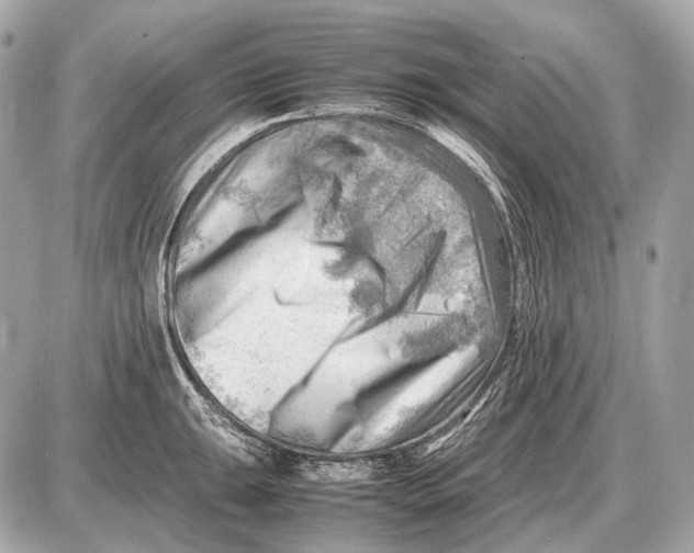 X0000087401047200705111821