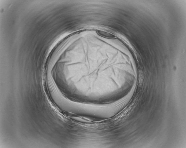 X0000087401048200705111821