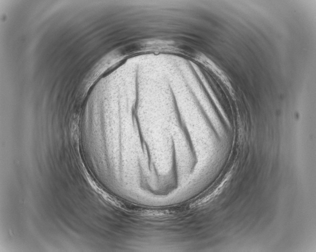 X0000087401049200705111821