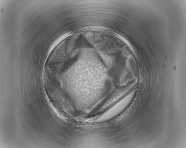 X0000087401050200705111821