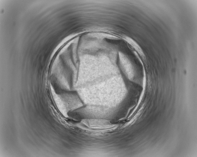 X0000087401052200705111821