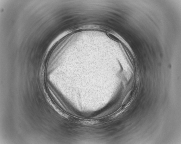 X0000087401053200705111821