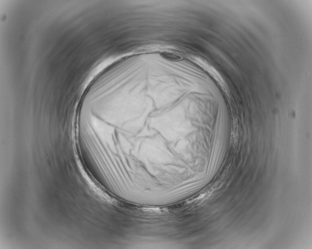 X0000087401055200705111821