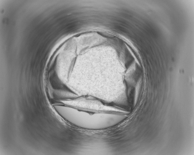 X0000087401056200705111821