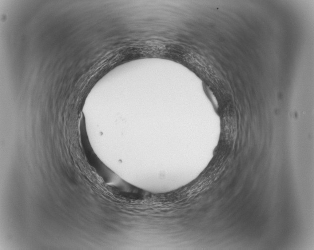 X0000087401057200705111820