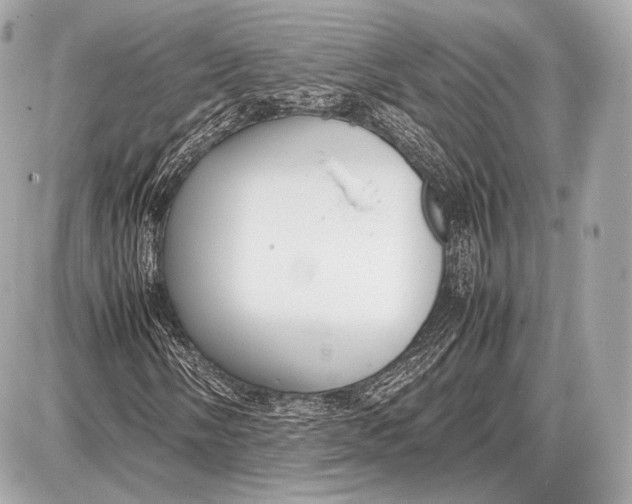 X0000087401058200705111820