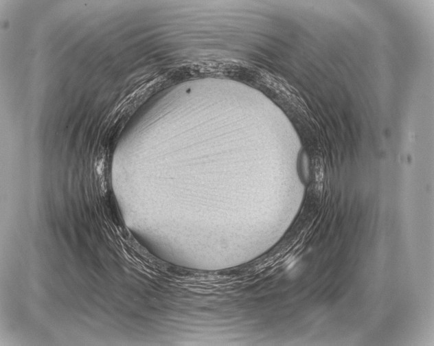 X0000087401060200705111820