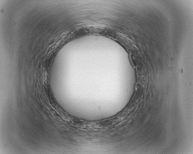 X0000087401061200705111820