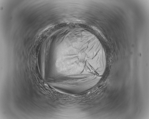 X0000087401063200705111820