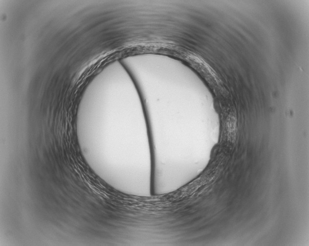 X0000087401064200705111820