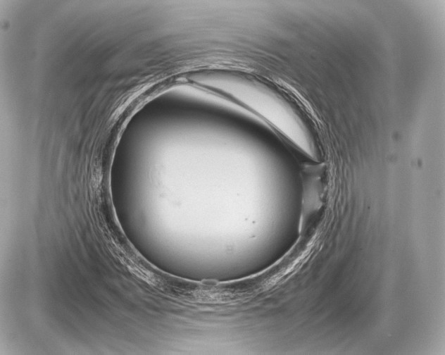 X0000087401065200705111820