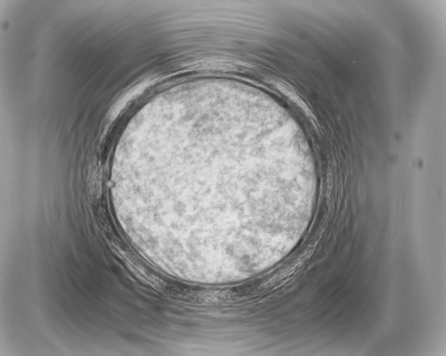 X0000087401067200705111820