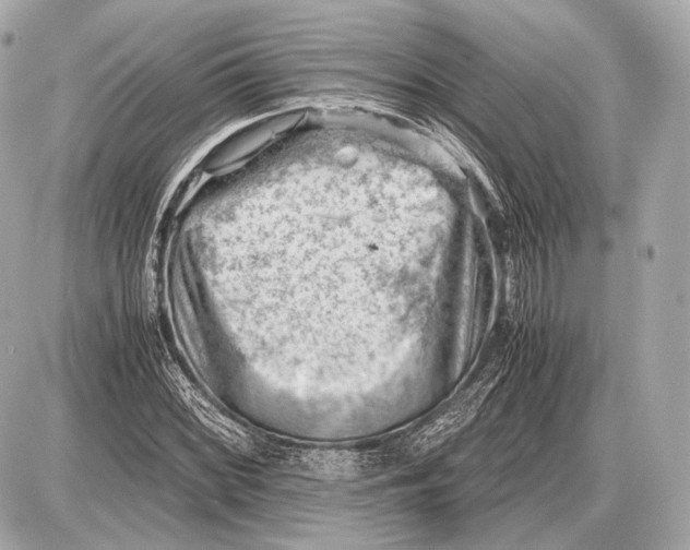 X0000087401068200705111820