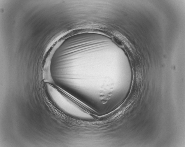 X0000087401069200705111820