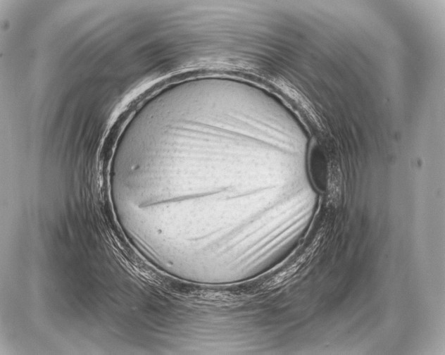 X0000087401070200705111820