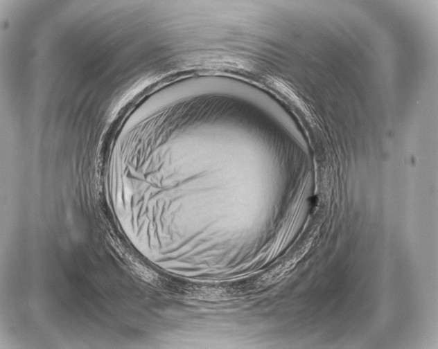 X0000087401071200705111820