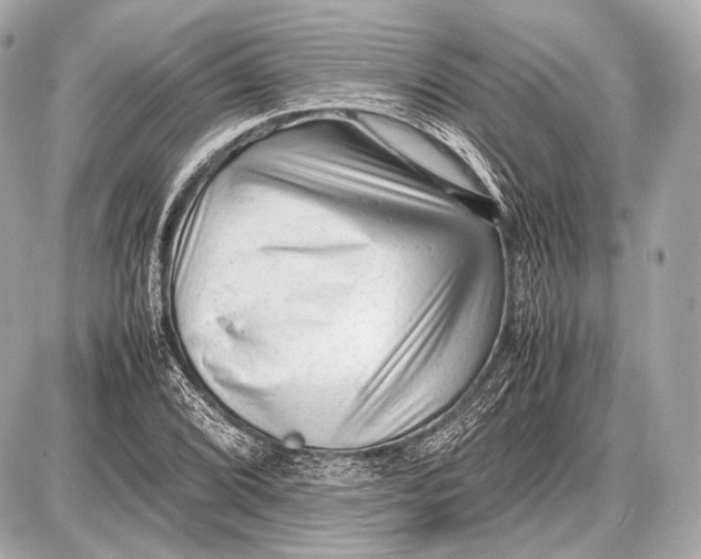 X0000087401072200705111820