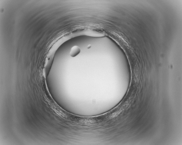 X0000087401073200705111820