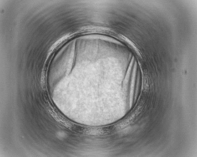 X0000087401074200705111820