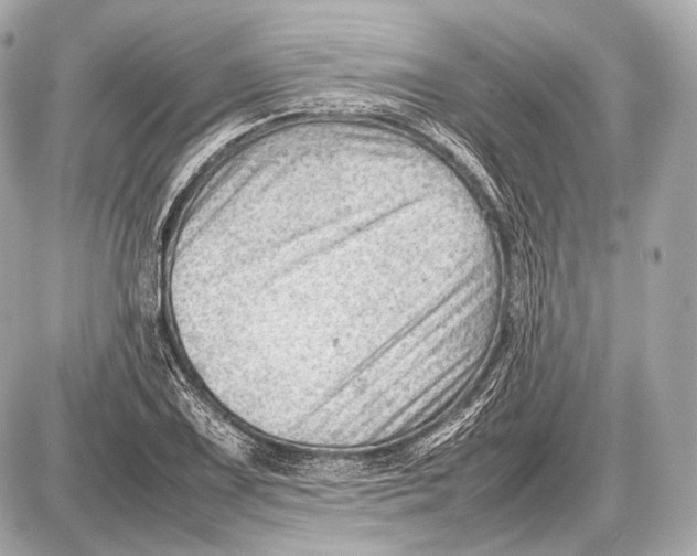 X0000087401075200705111820