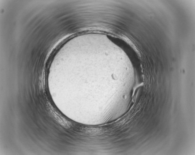 X0000087401076200705111820