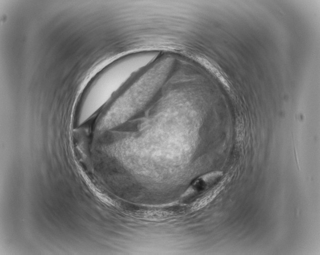 X0000087401077200705111820