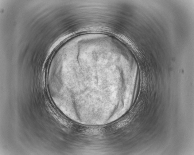 X0000087401078200705111820