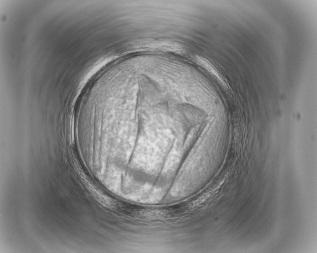 X0000087401079200705111820