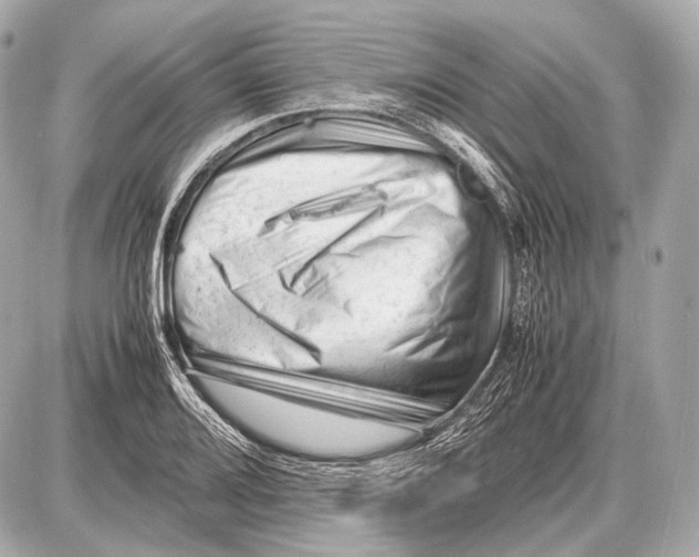 X0000087401080200705111820