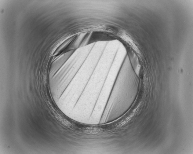 X0000087401081200705111820