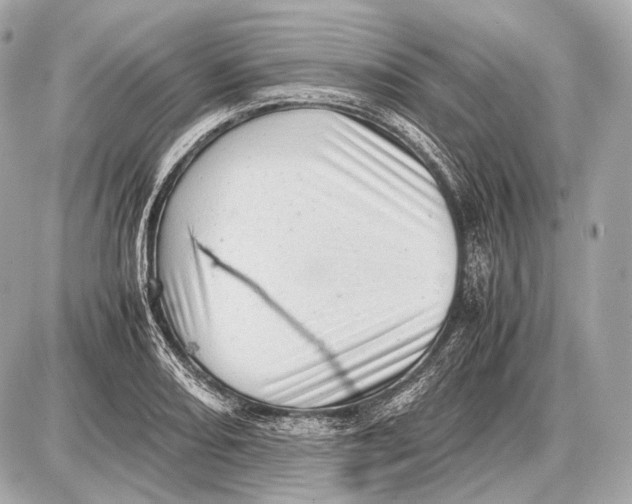 X0000087401082200705111820