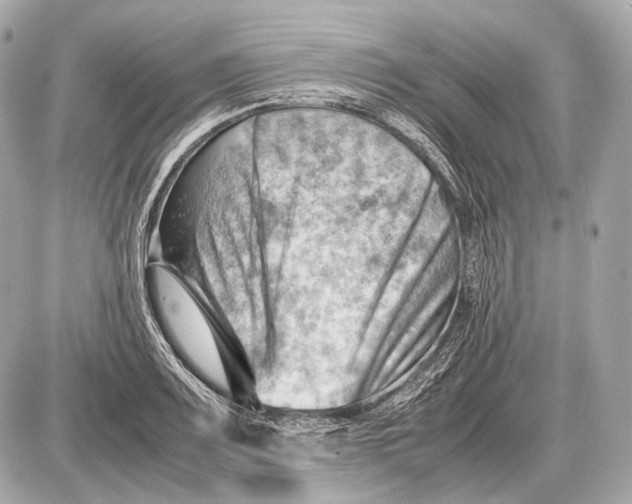 X0000087401083200705111820