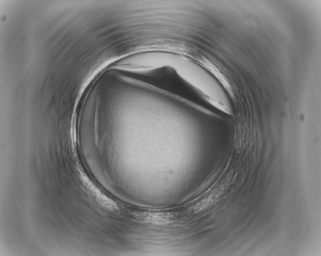 X0000087401084200705111820