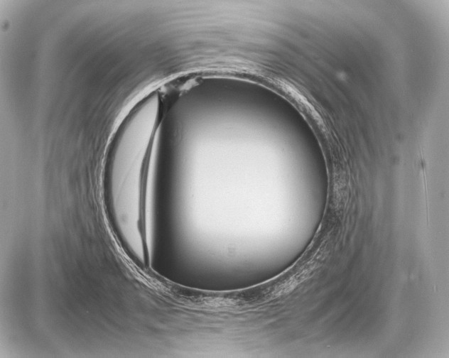 X0000087401085200705111820