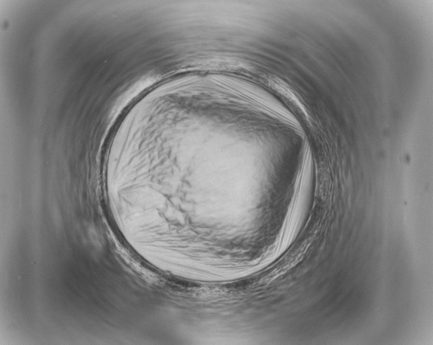 X0000087401087200705111820