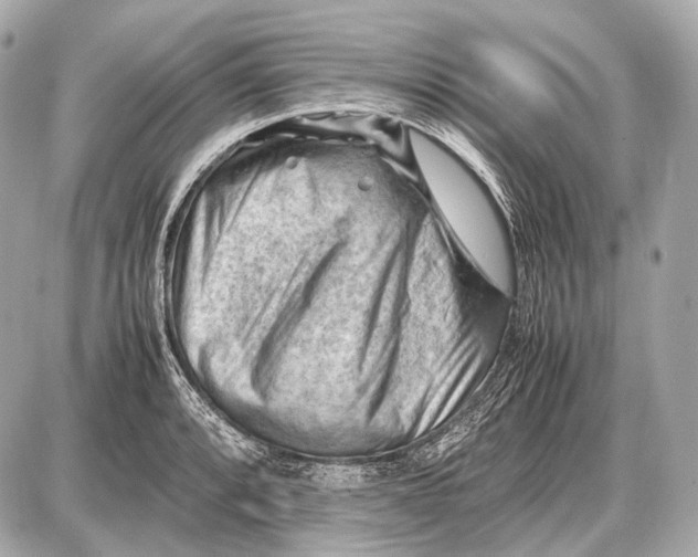 X0000087401088200705111820