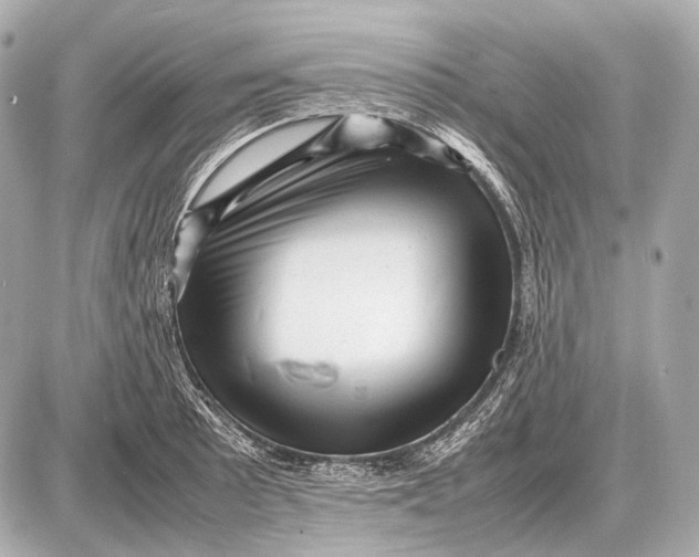 X0000087401089200705111820