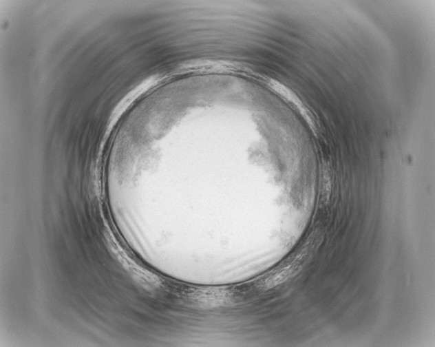 X0000087401090200705111819