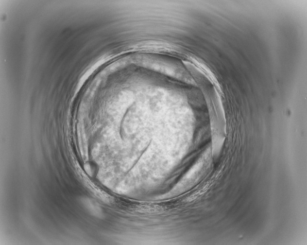 X0000087401091200705111819