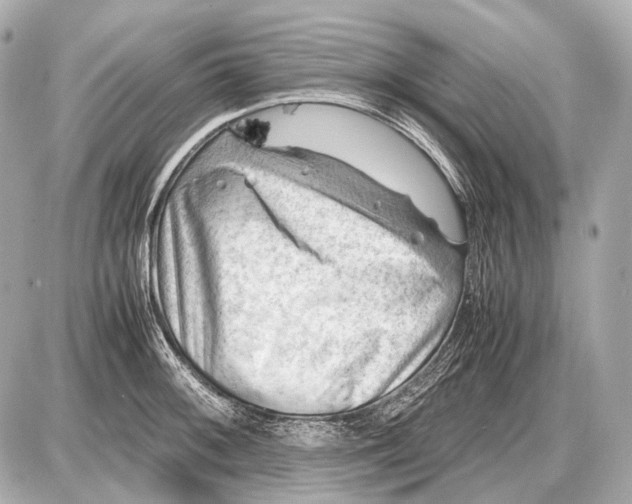 X0000087401092200705111819