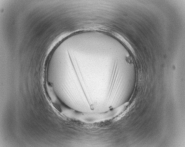 X0000087401093200705111819