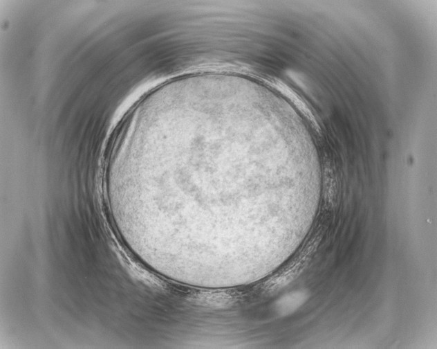 X0000087401094200705111819