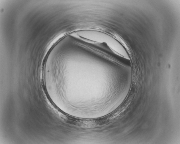 X0000087401095200705111819