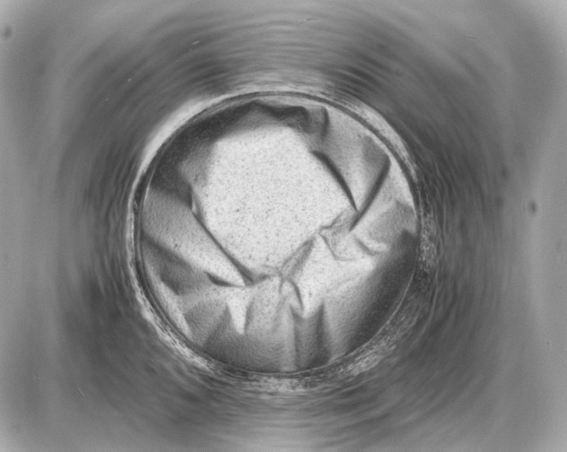 X0000087401096200705111819