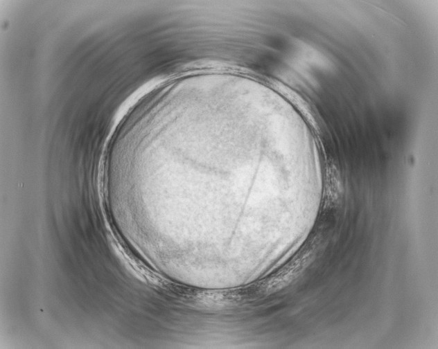 X0000087401098200705111819