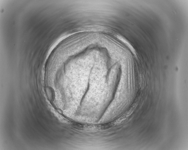 X0000087401099200705111819