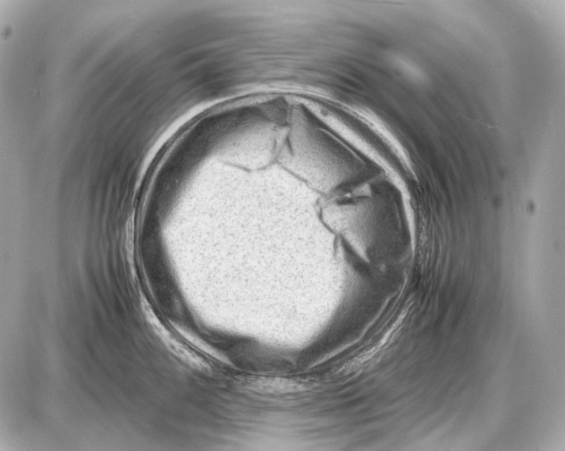 X0000087401100200705111819