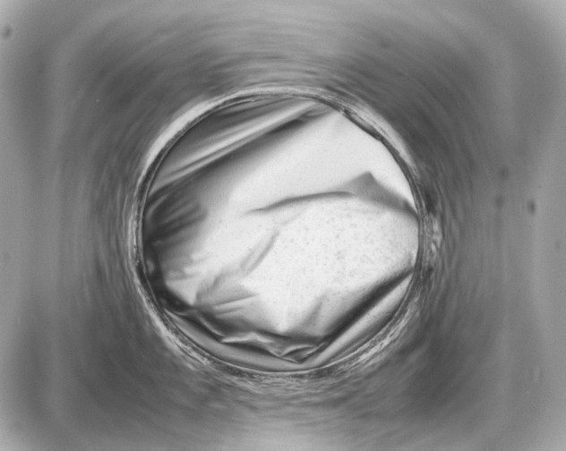 X0000087401101200705111819