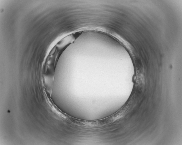 X0000087401102200705111819