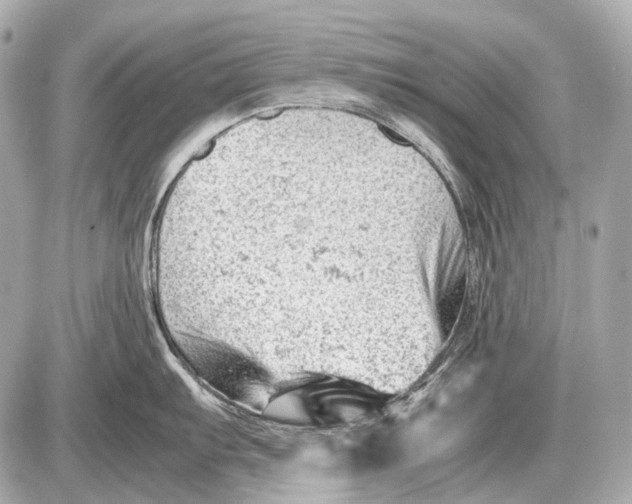 X0000087401103200705111819